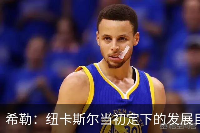 希勒：纽卡斯尔当初定下的发展目标和当下的现实，已经相去甚远